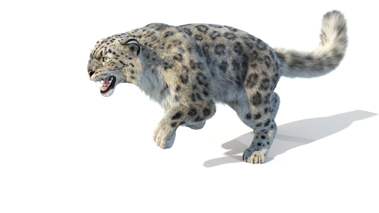 Animated Snow Leopard 3D Model Fur 360° view 5 frame 13