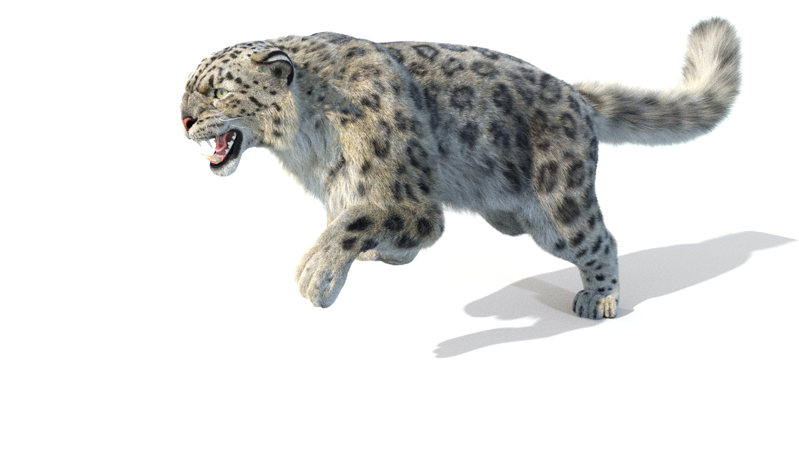 Animated Snow Leopard 3D Model Fur 360° view 5 frame 14
