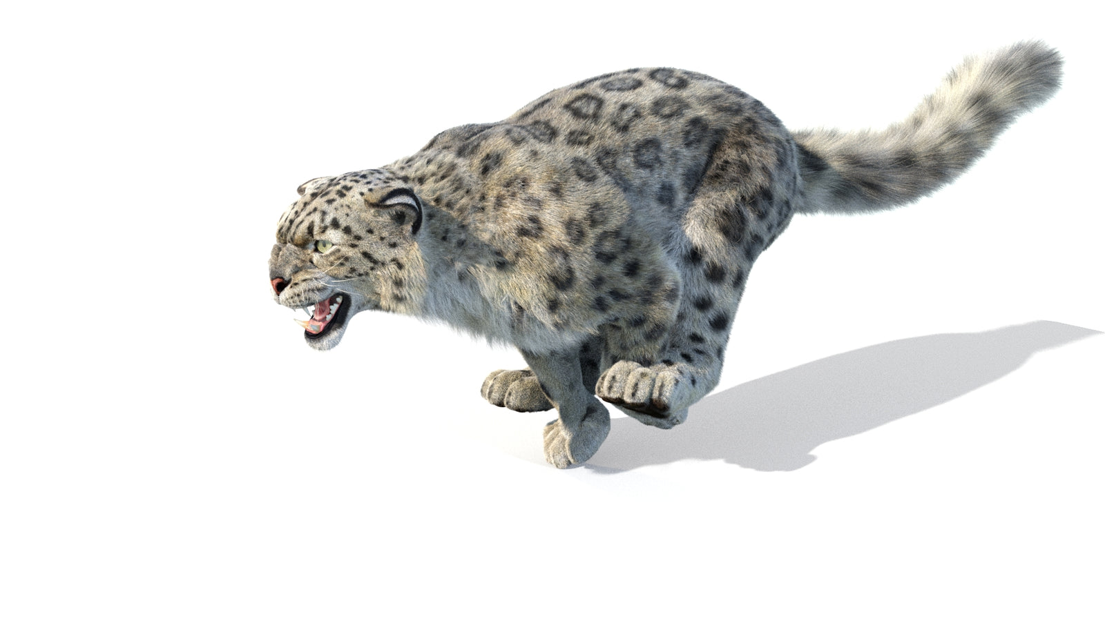 Animated Snow Leopard 3D Model Fur 360° view 5 frame 26