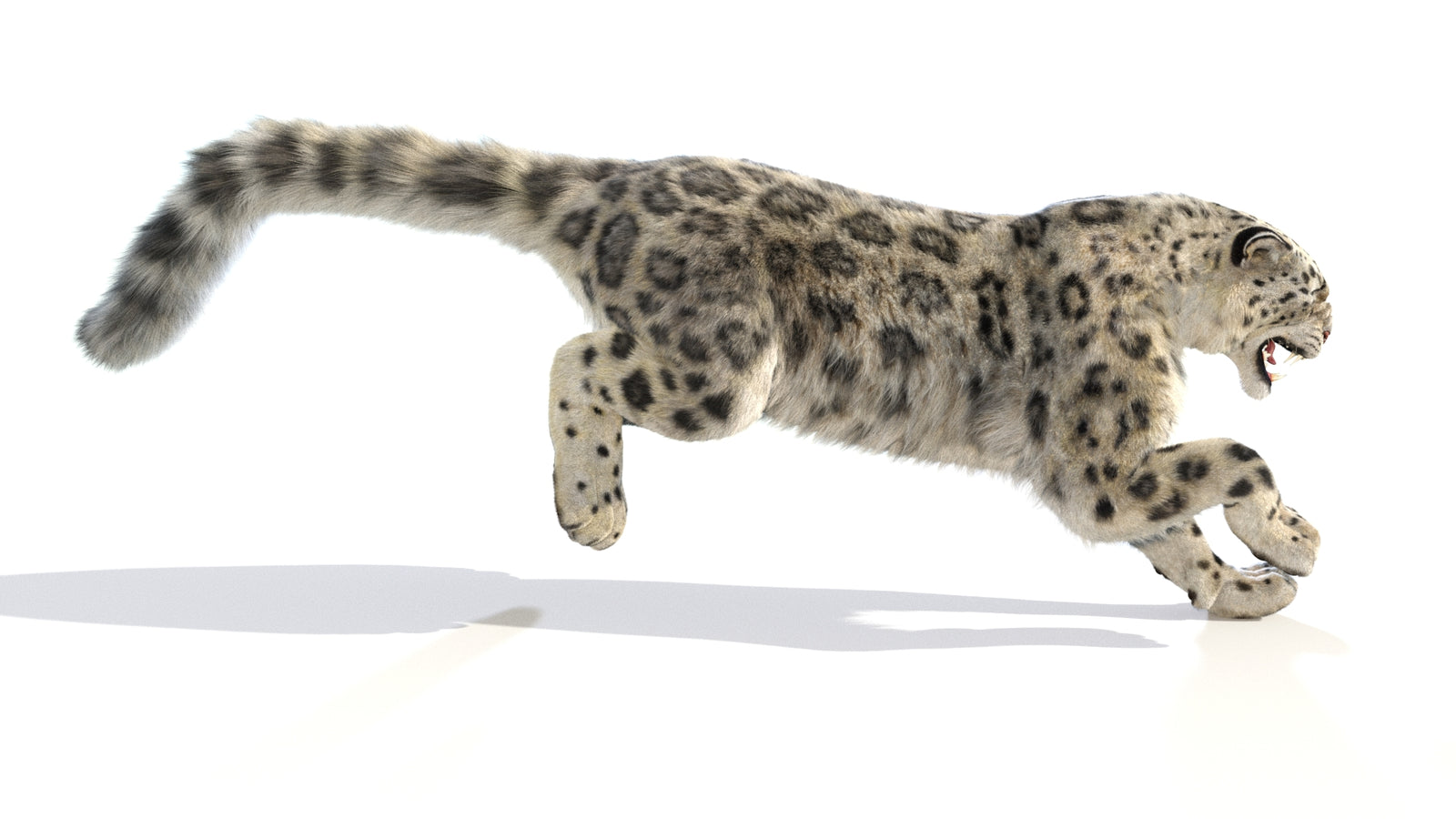 Animated Snow Leopard 3D Model Fur 360° view 6 frame 20
