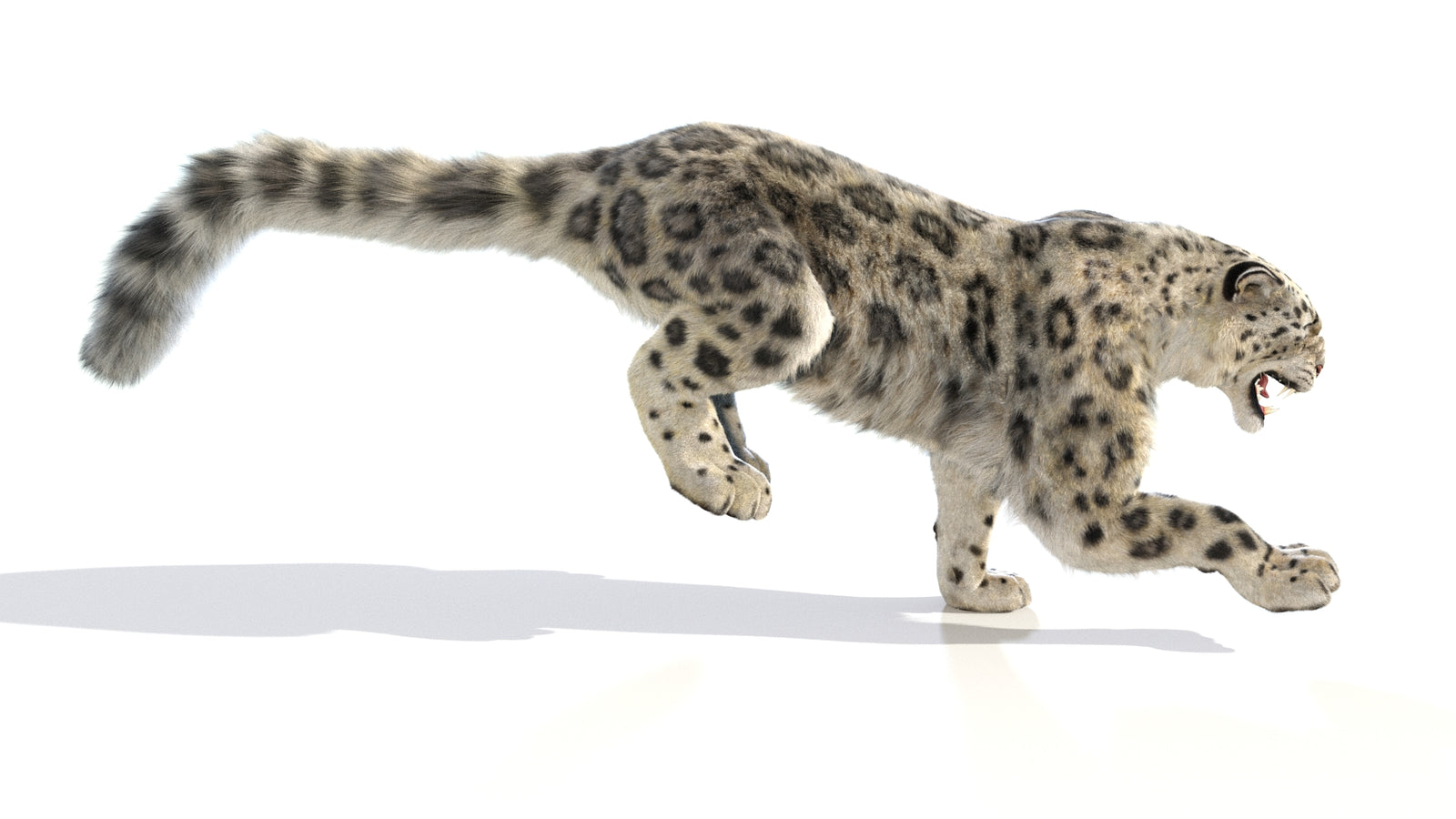 Animated Snow Leopard 3D Model Fur 360° view 6 frame 22