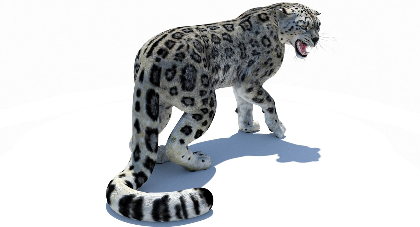 Snow Leopard 3D Model Rigged