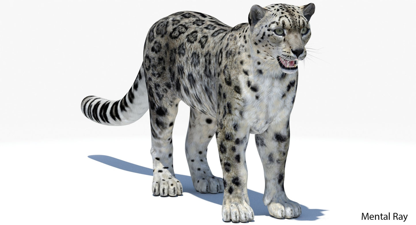Realistic Snow Leopard 3D Model