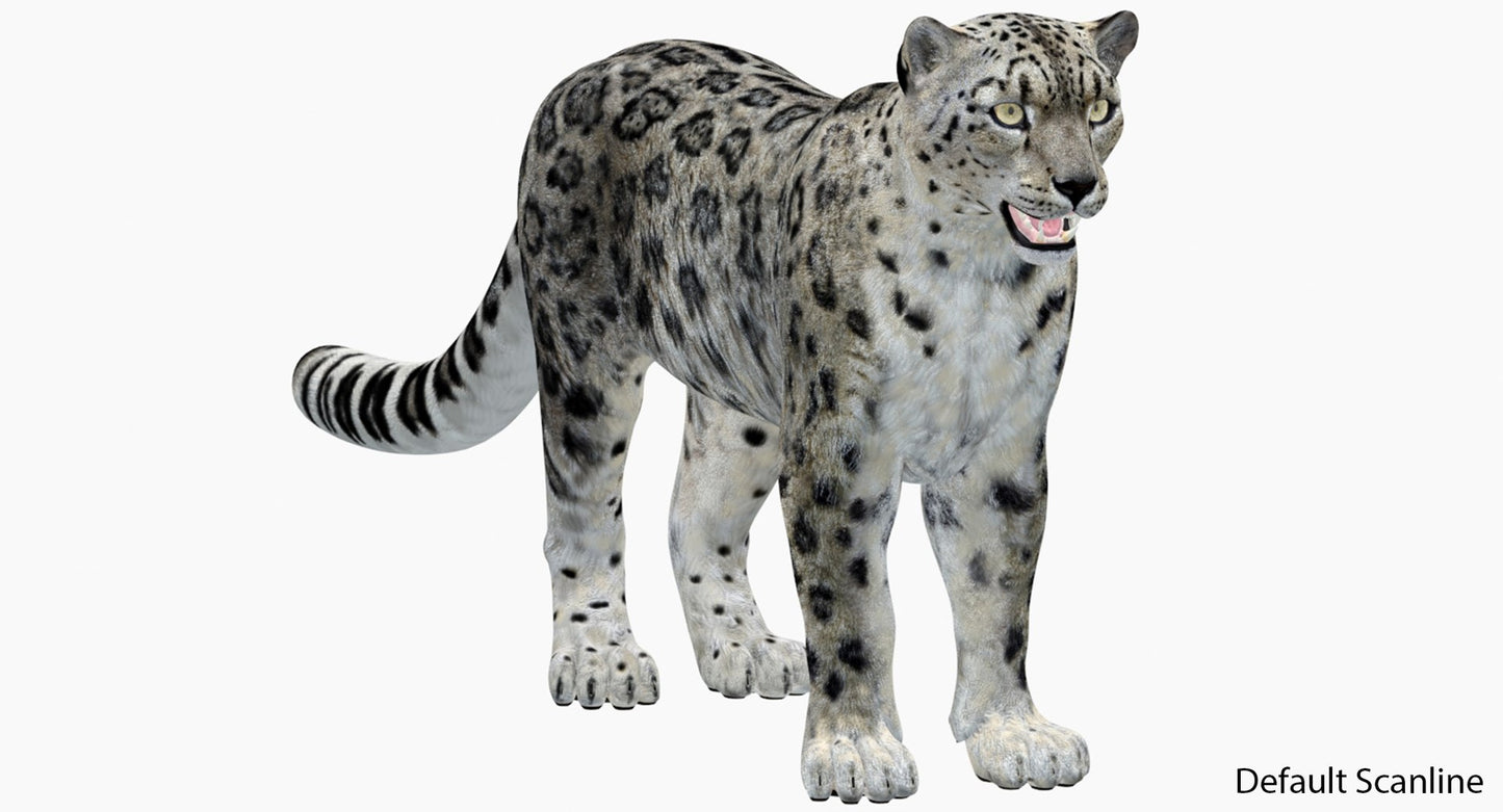 Realistic Snow Leopard 3D Model