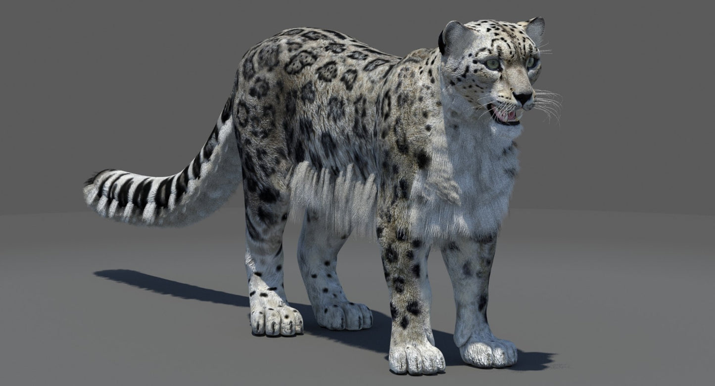 Snow Leopard 3D Model Polygonal Hairs
