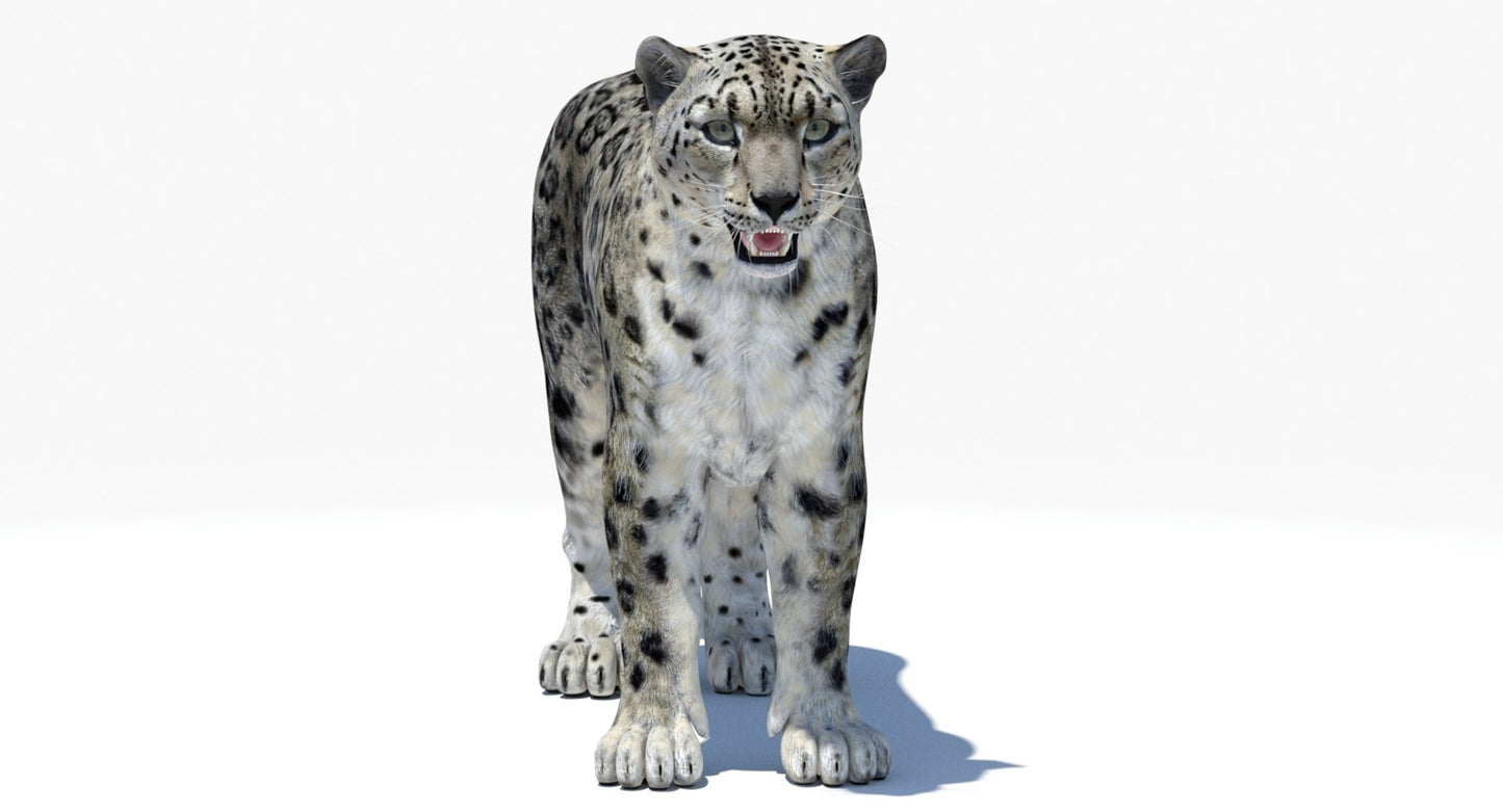 Realistic Snow Leopard 3D Model