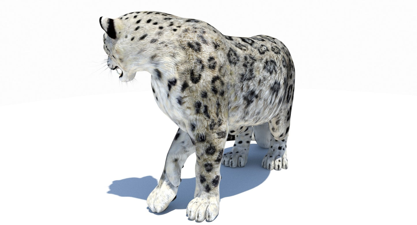 Snow Leopard 3D Model Rigged