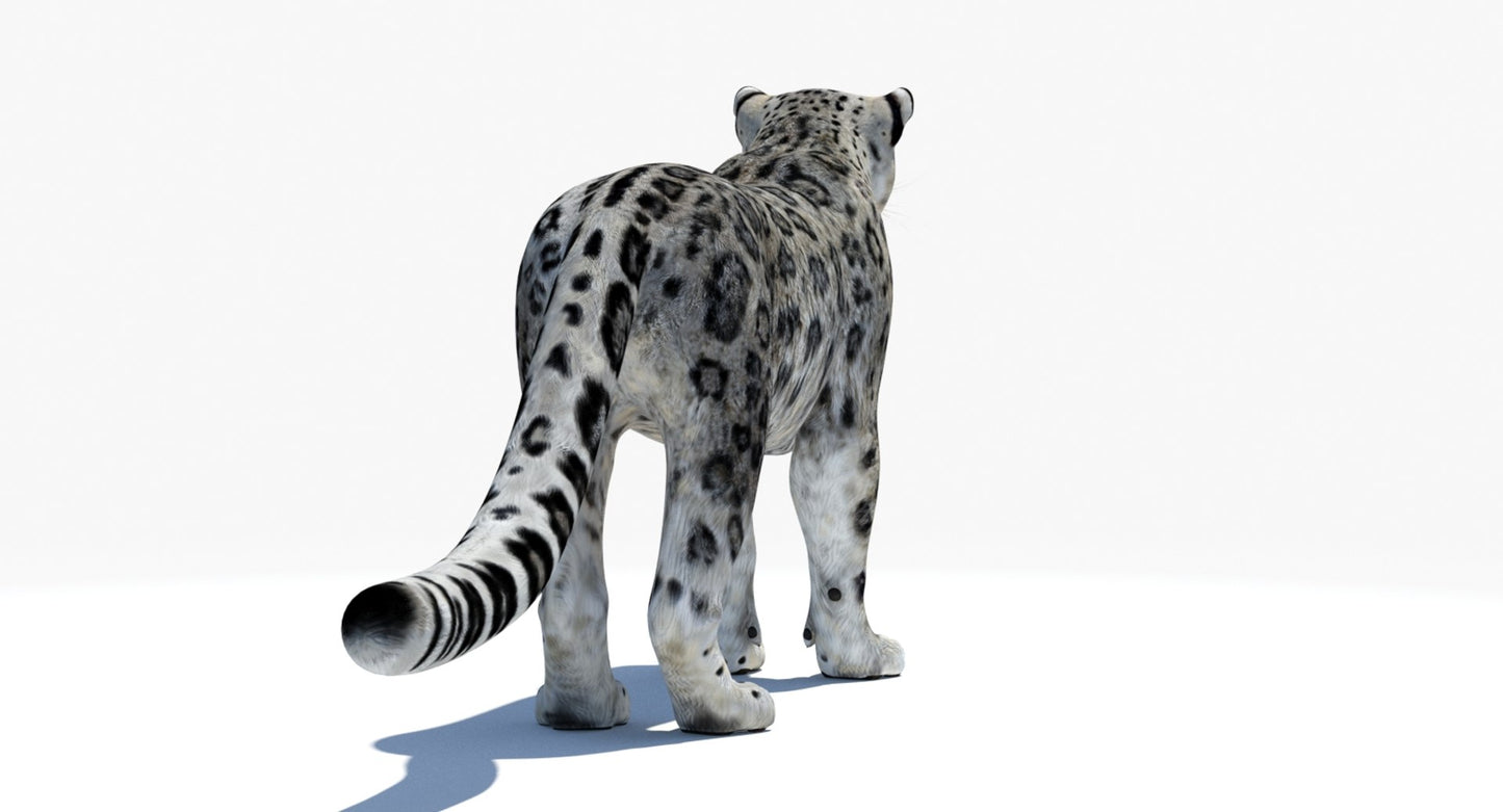 Realistic Snow Leopard 3D Model