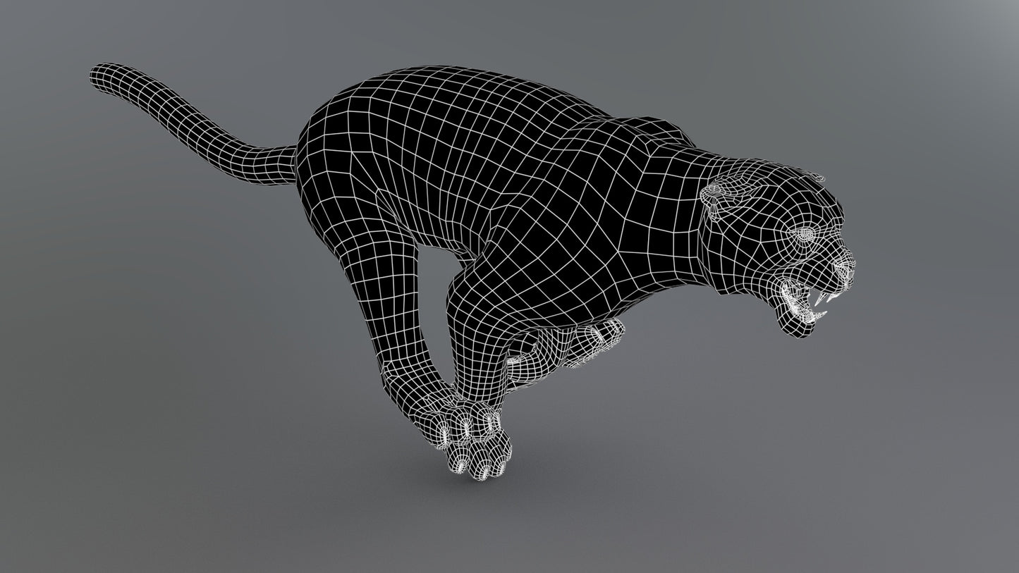 Snow Leopard 3d Model Animated Fur Ornatrix