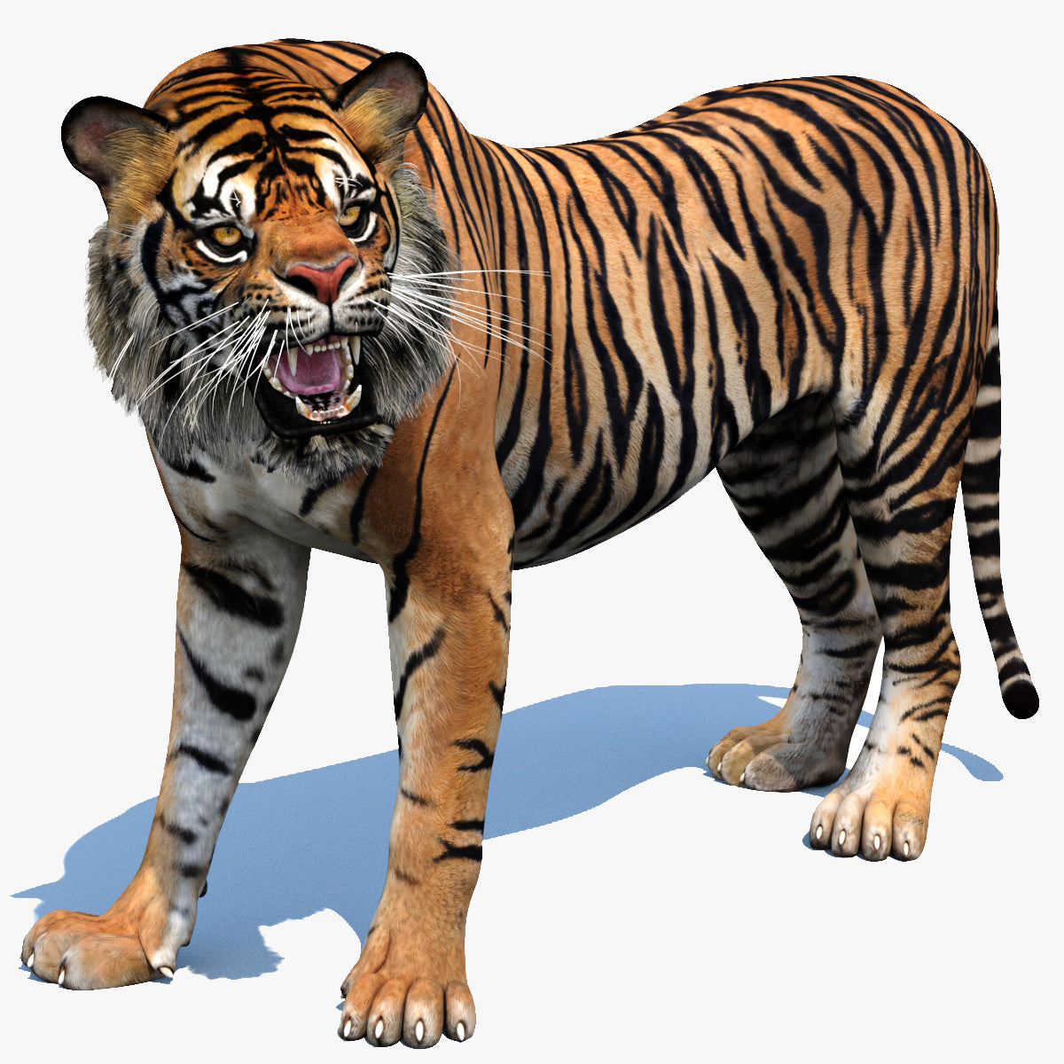 Animated Tiger 3D Model with Polygonal Mane