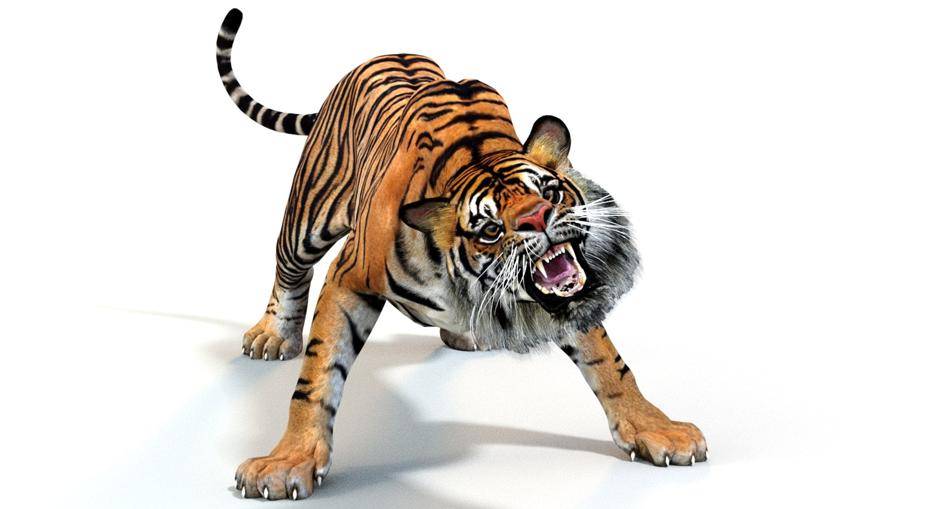 Animated Tiger 3D Model with Game Ready