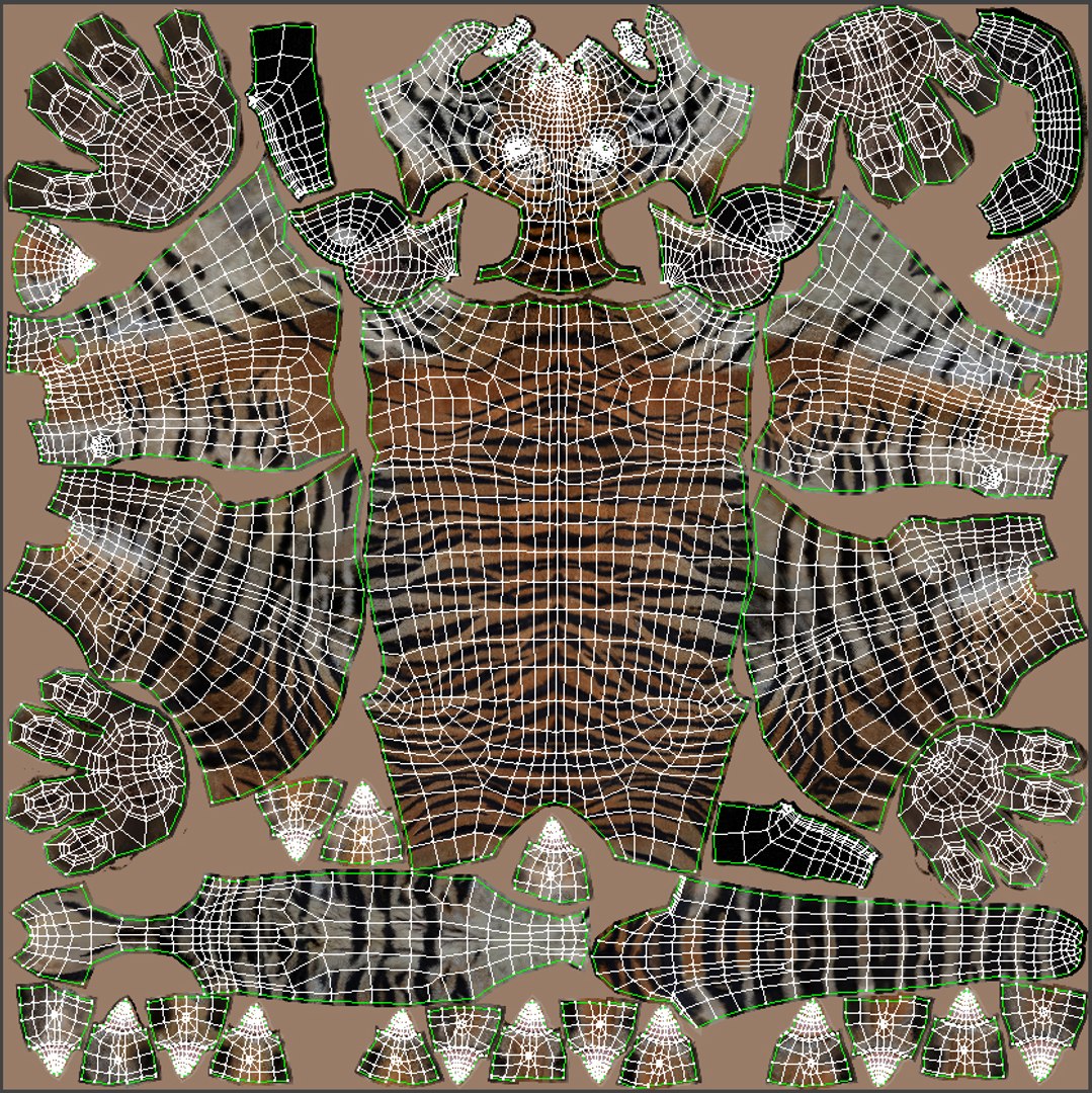 Realsitic Tiger 3D Model Body UVs