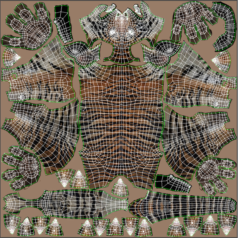 UV mapping of tiger 3D model body showing unwrapped textures
