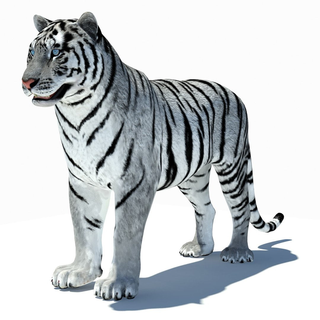 Animated Tiger 3D Model with White and Natural Variations