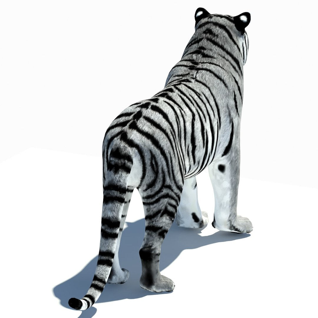 Animated Tiger 3D Model with White and Natural Variations