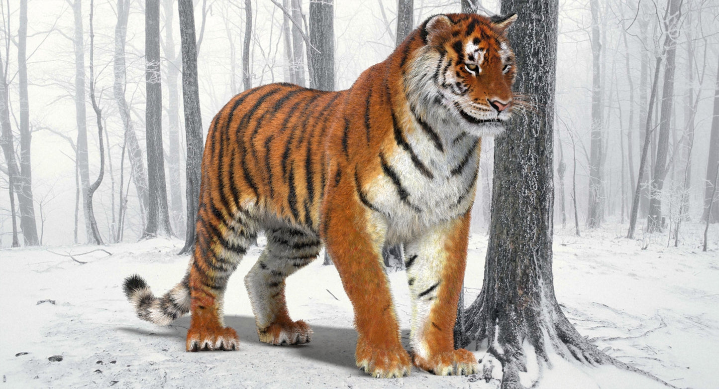 Animated Big Cats 3D Model Fur