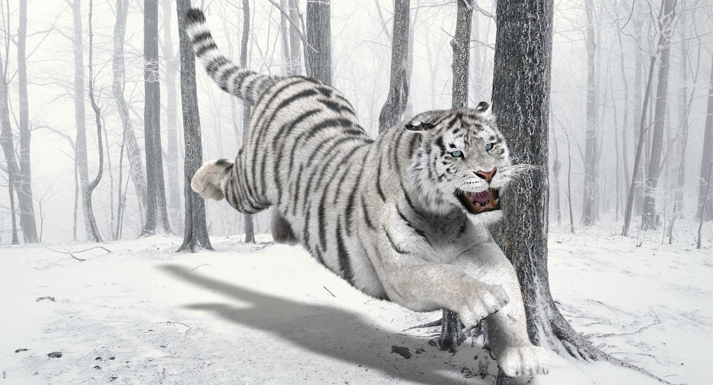 Tiger Animated 3D Model Fur Two Colors