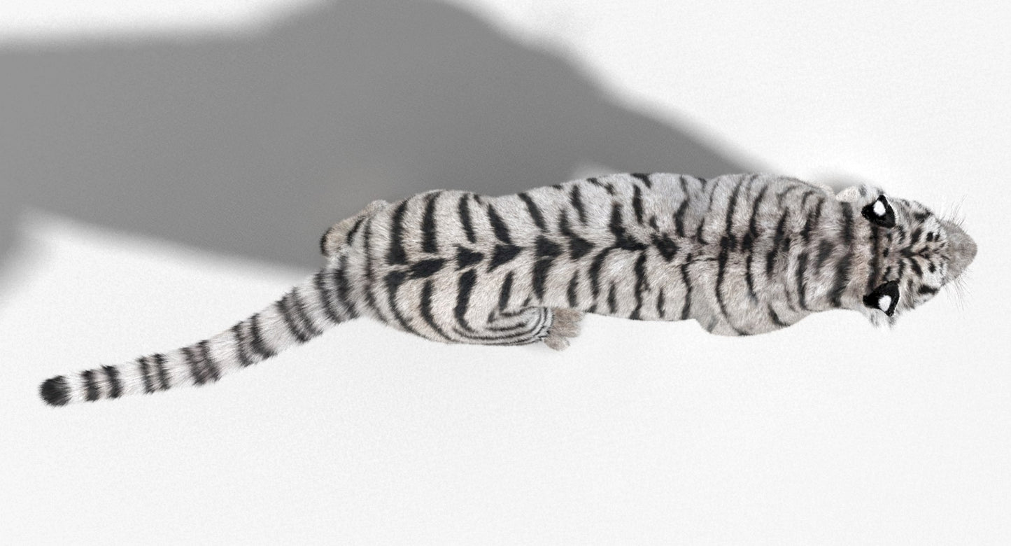 Tiger Animated 3D Model Fur Two Colors