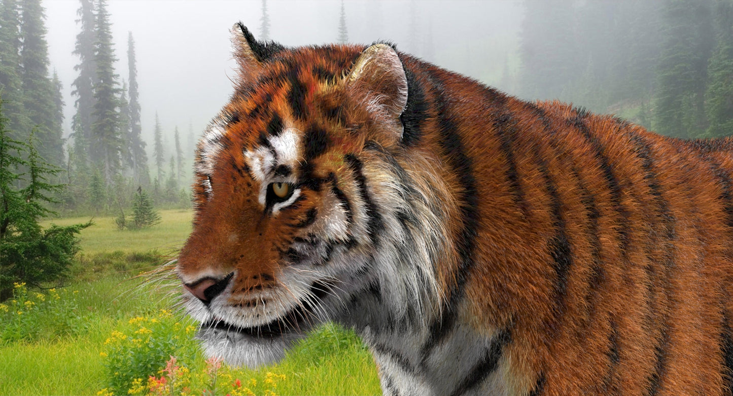 Animated Big Cats 3D Model Fur