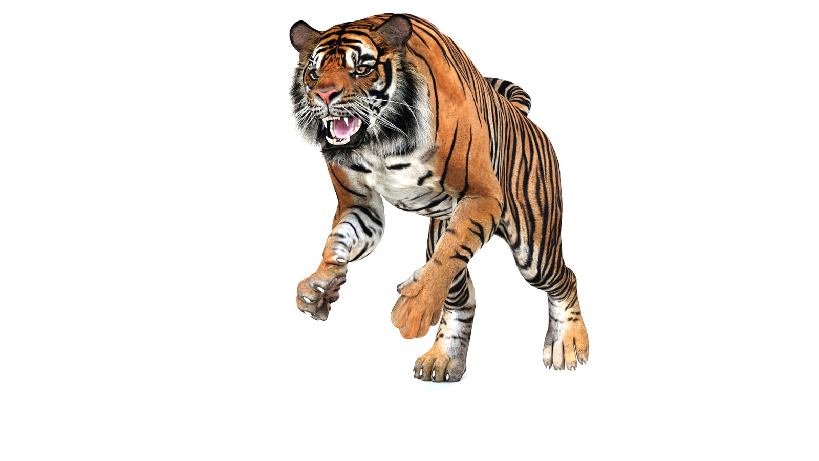 Animated Tiger 3D Model 360° view 3 frame 34