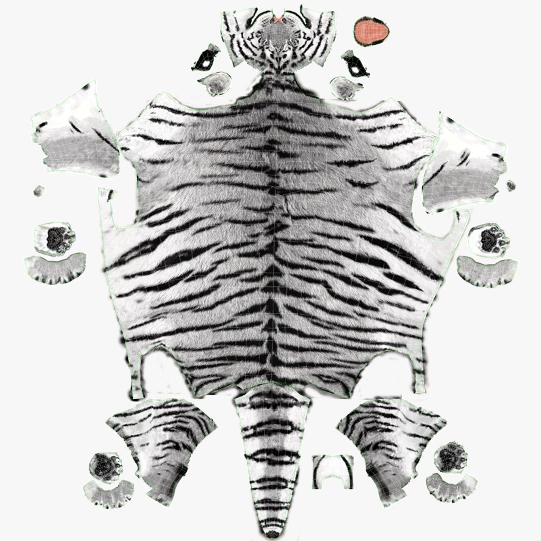 Animated Tiger 3D Model with White and Natural Variations