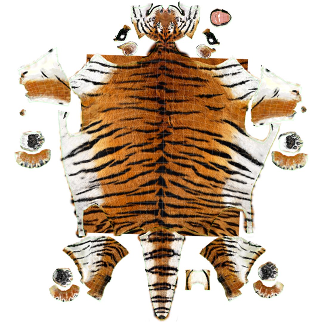 Animated Tiger 3D Model with White and Natural Variations