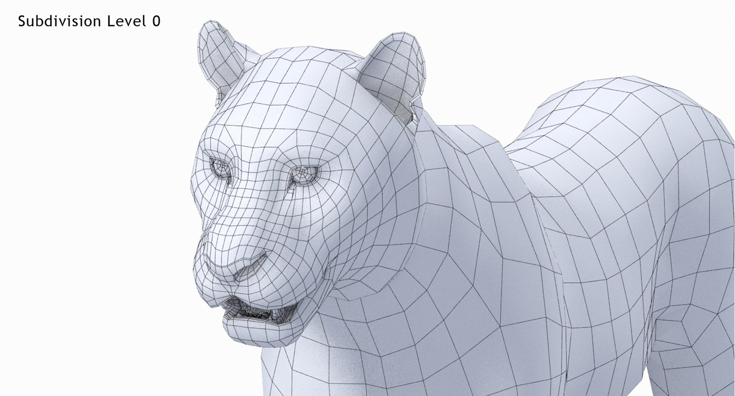 Big Cats 03 3D Model