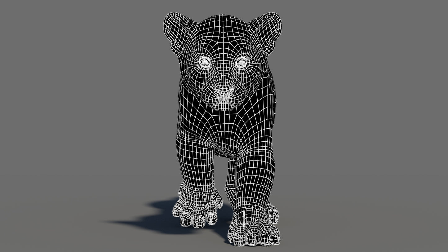 Animated Tiger Cub 3D Model with Groomed Hair