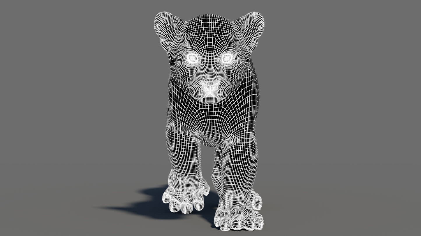 Animated Tiger Cub 3D Model with Groomed Hair