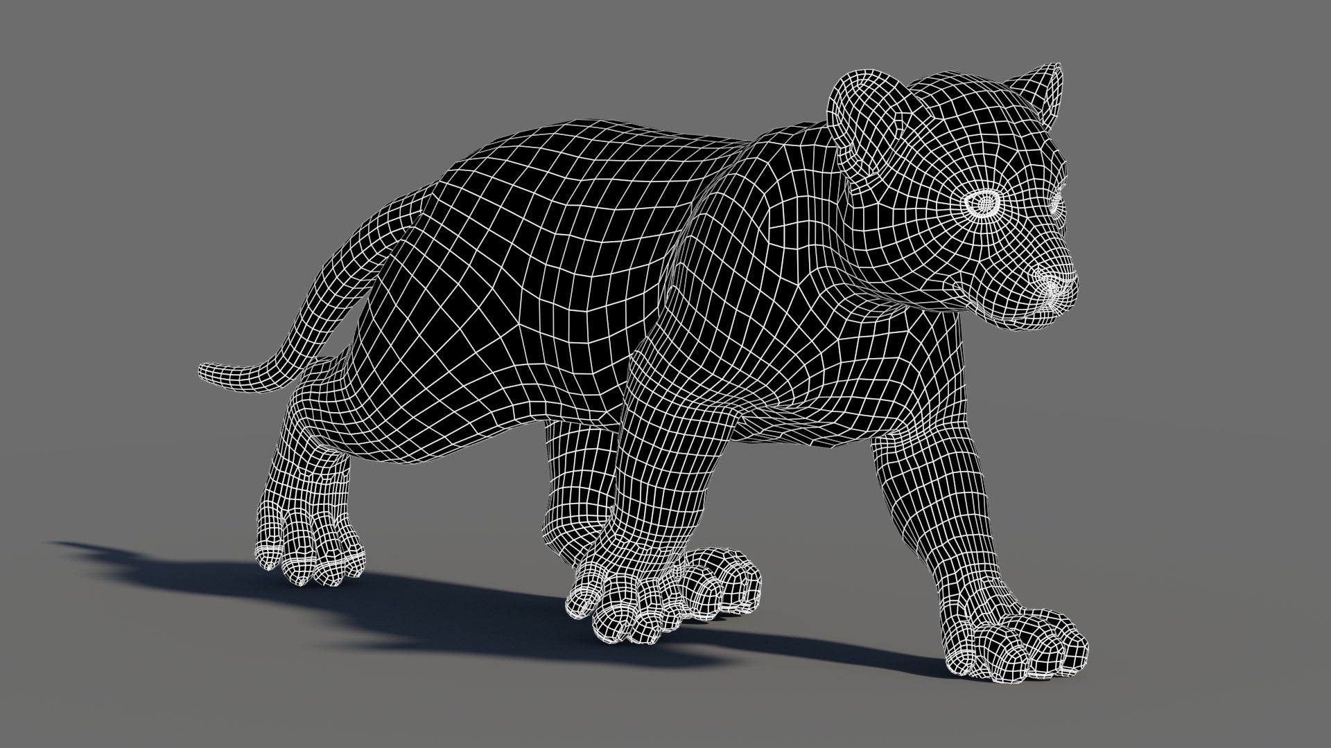 Rigged Tiger Cub 3D Model Wireframe View Subdivision Level 0