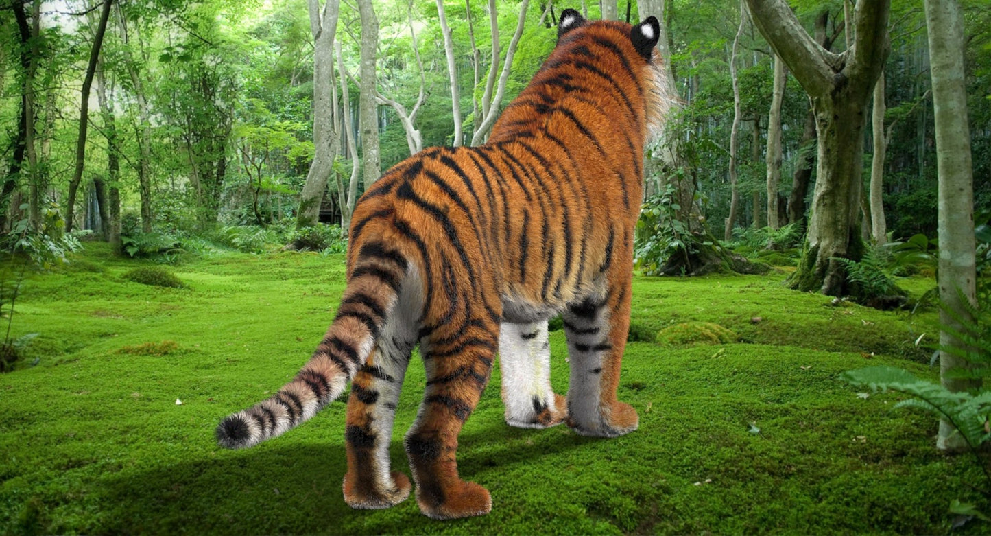 Tiger Amur Fur Two Color 3D Model