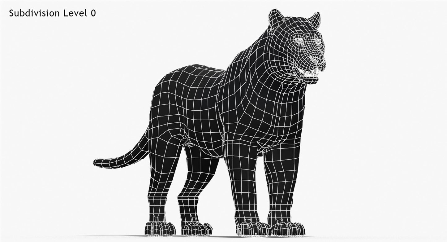 Tiger Amur Fur Two Color 3D Model