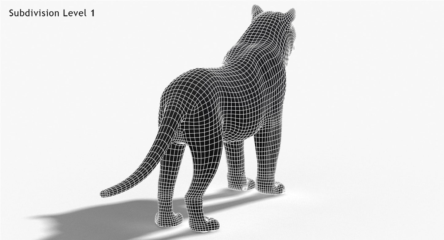 Tiger Amur Fur Two Color 3D Model