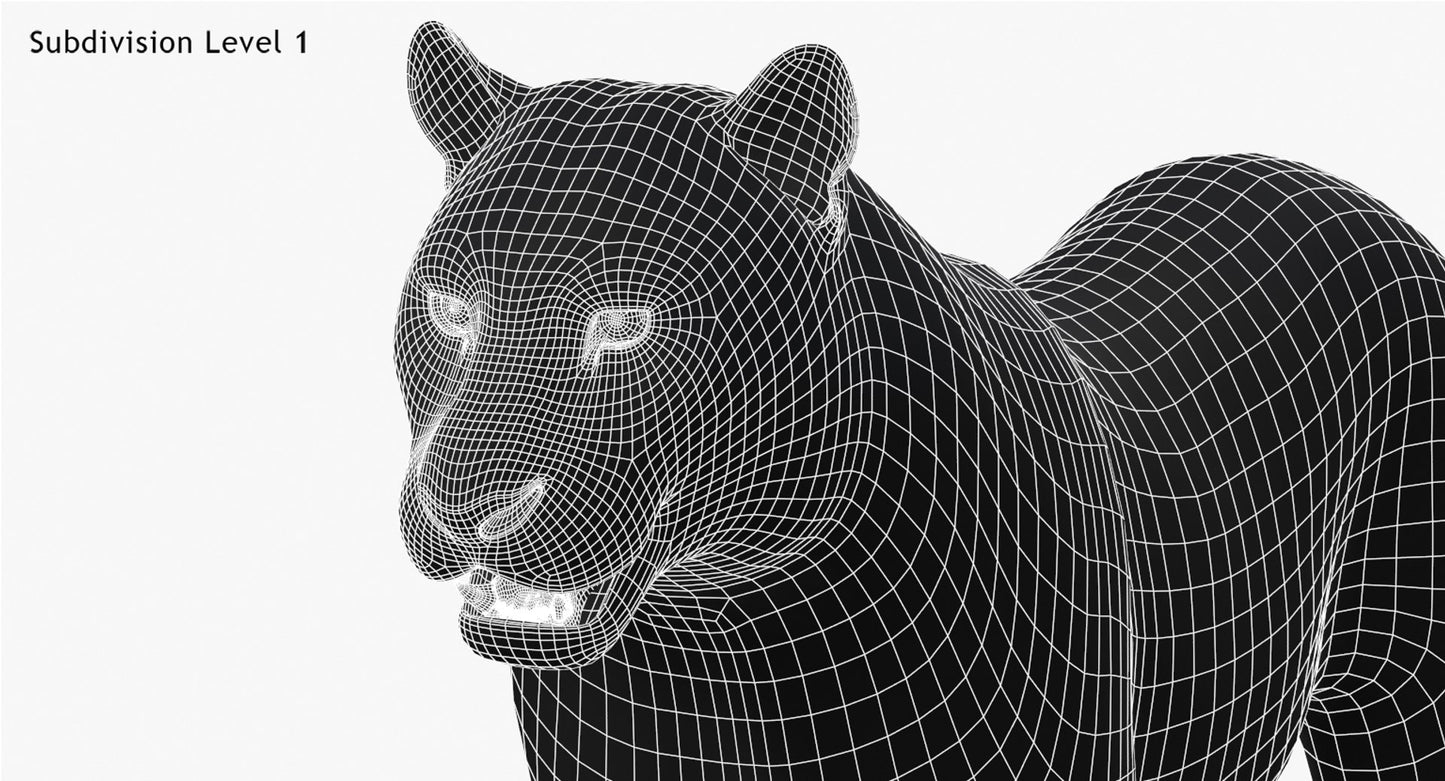 Tiger Amur Fur Two Color 3D Model
