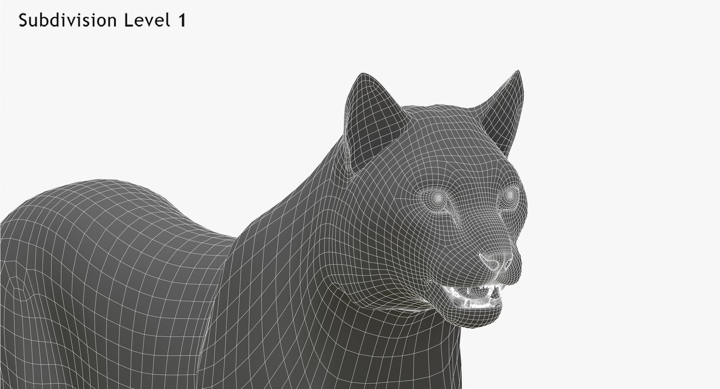 Wite Lynx 3D Model Head Close Up - Wireframe View 1