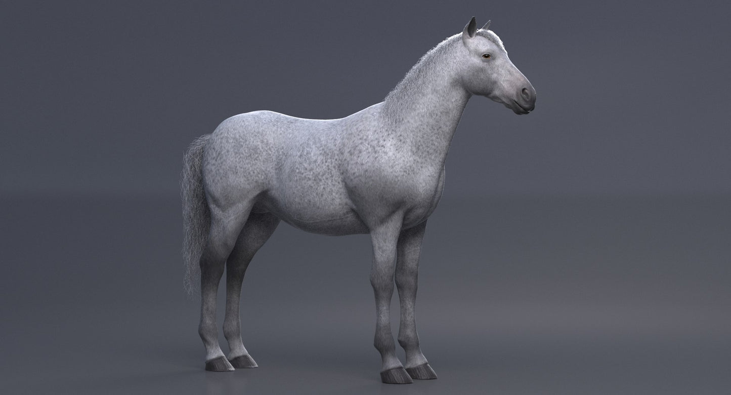 White Horse 3D Model