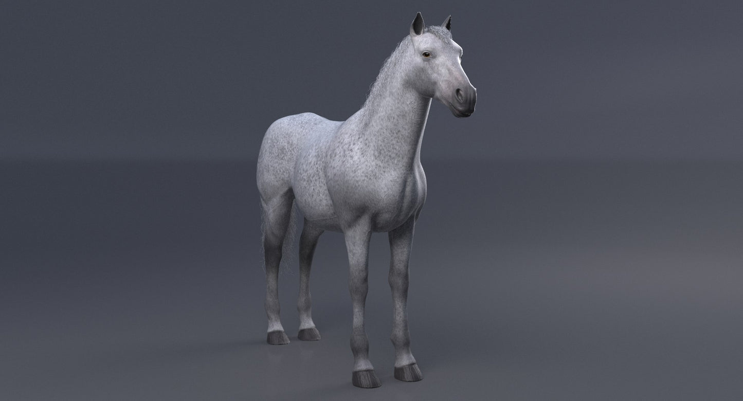Horse 3D Model White