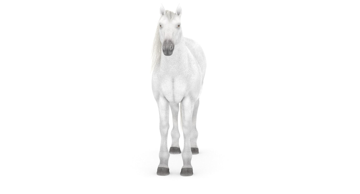 White Horse 3D Model
