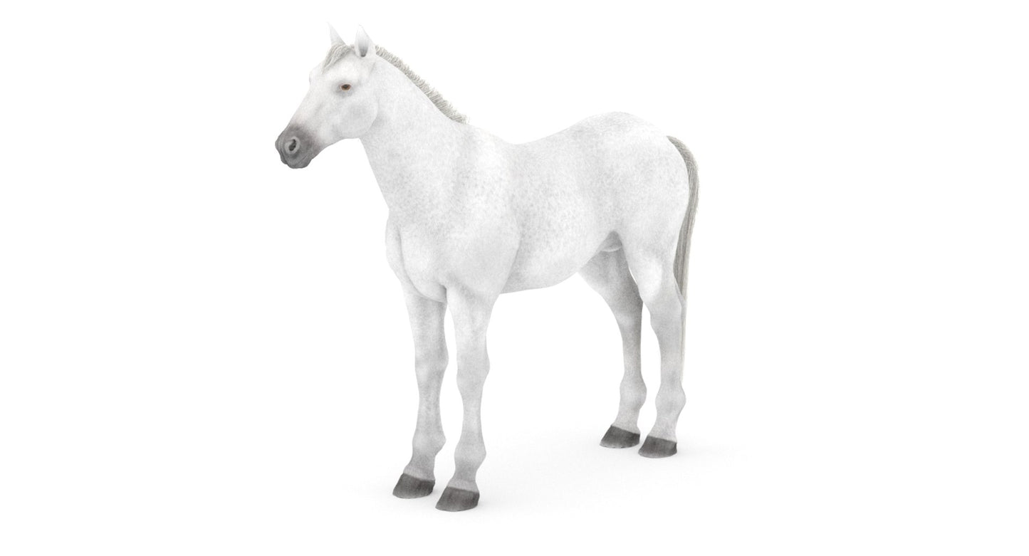 White Horse 3D Model