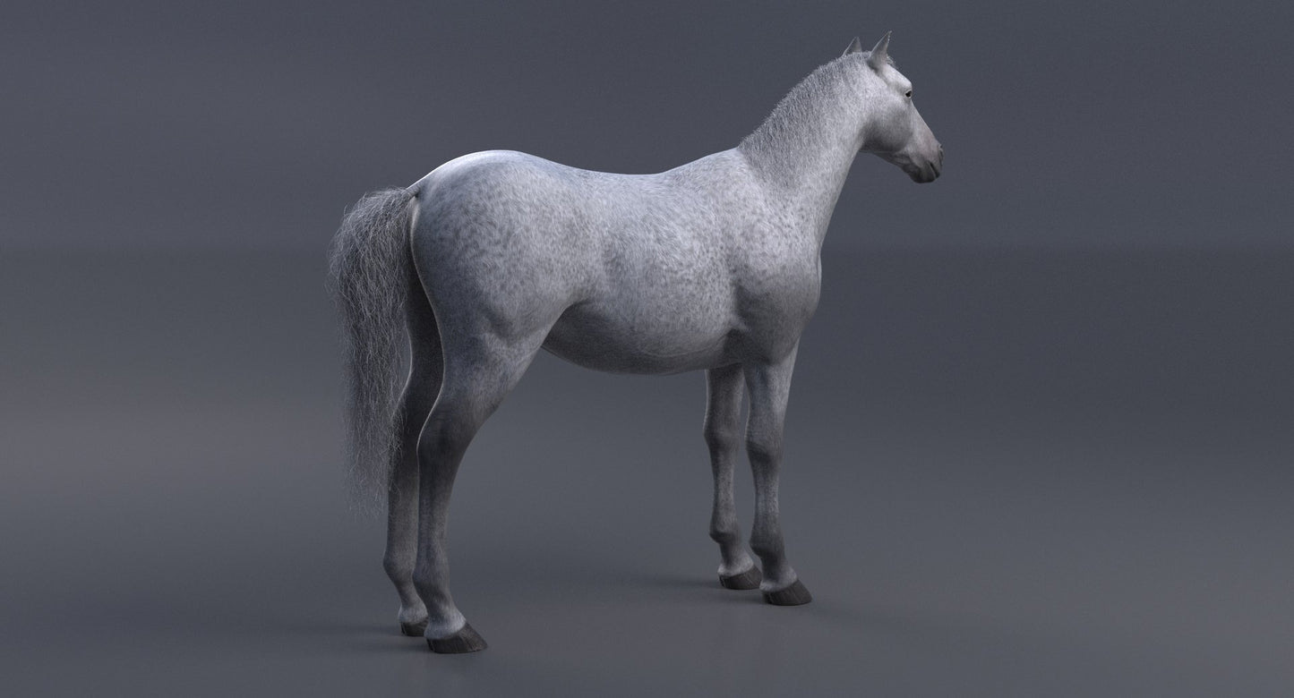 Horse 3D Model White