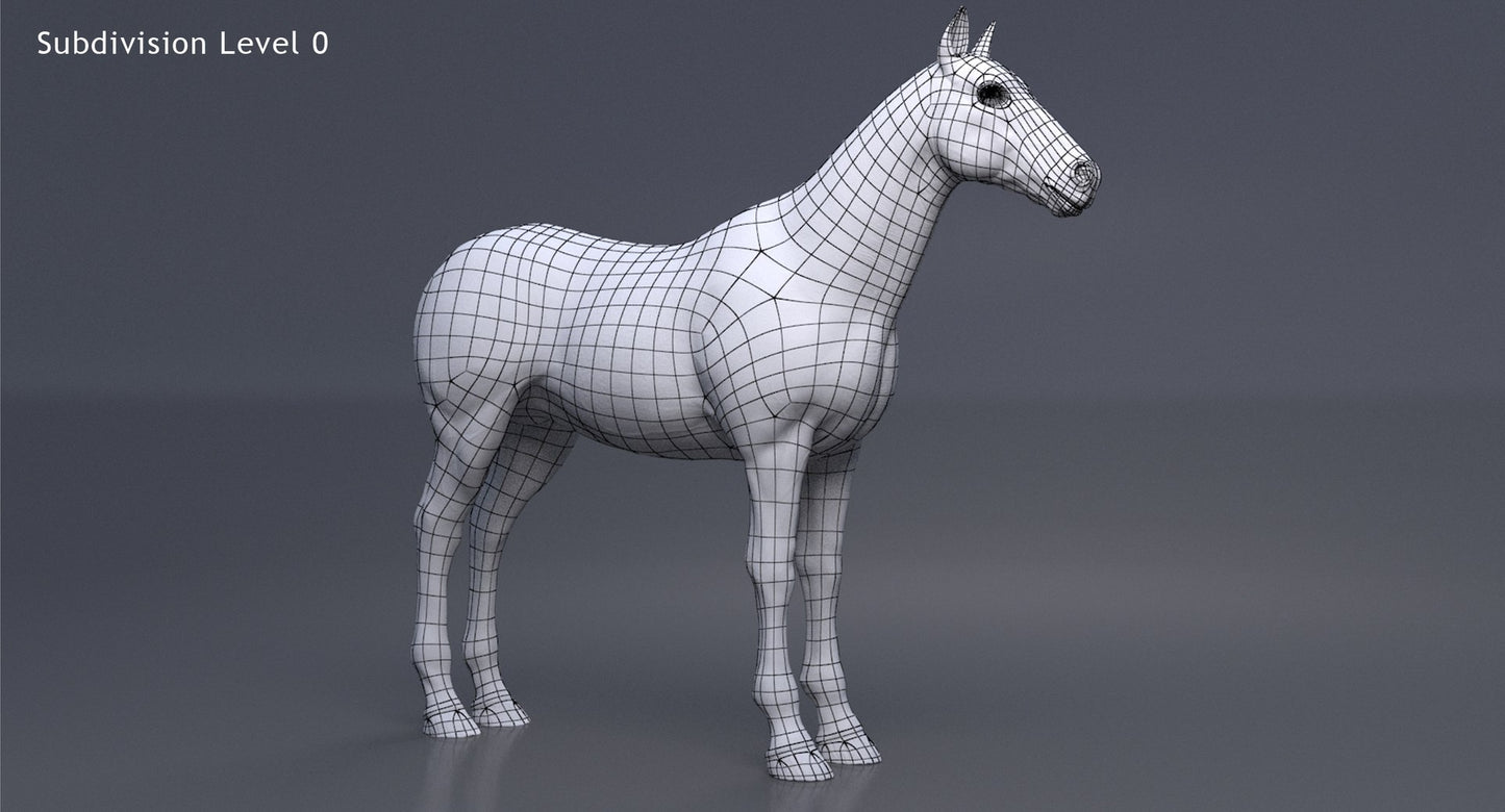 Horse 3D Model White