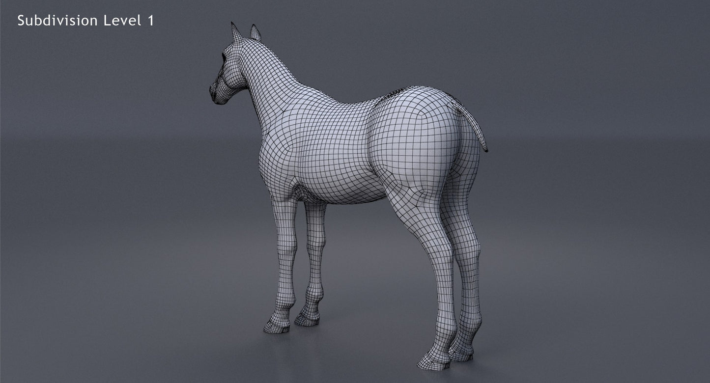 Horse 3D Model White