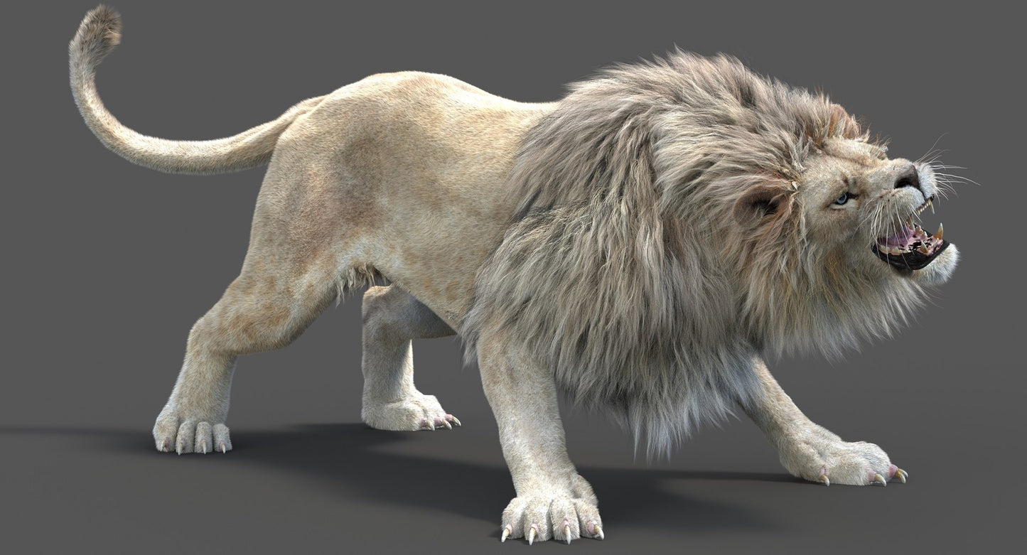 Rigged White Lion 3D Model with Realistic Fur