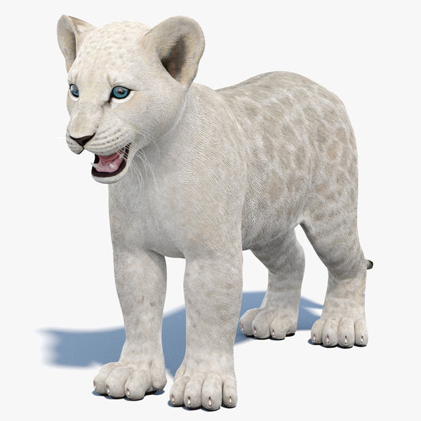 White Baby Lion 3D Model