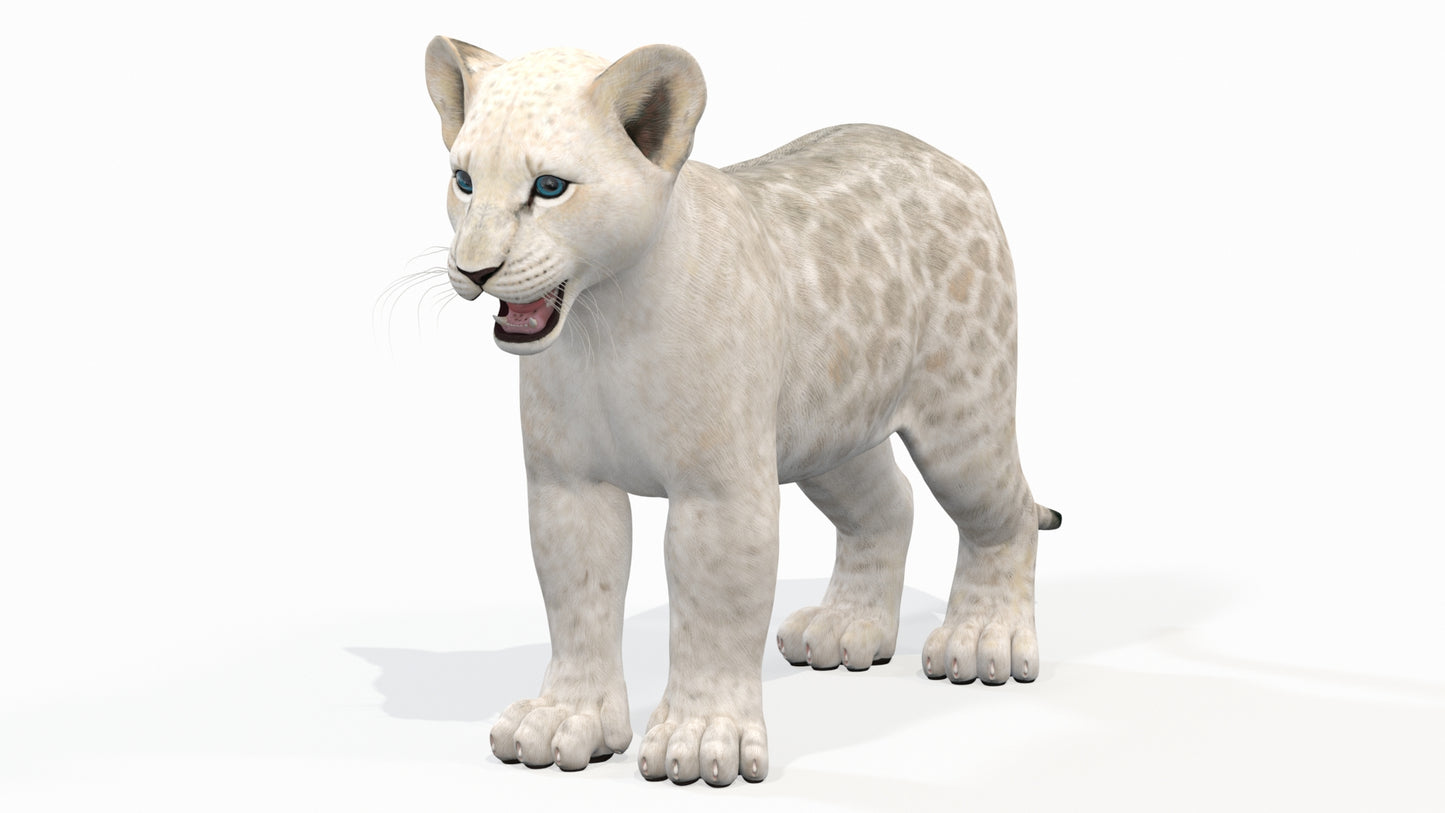 White Baby Lion 3D Model