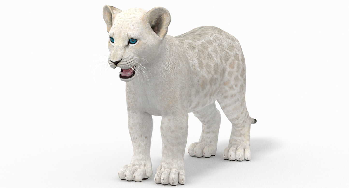 White Baby Lion 3D Model