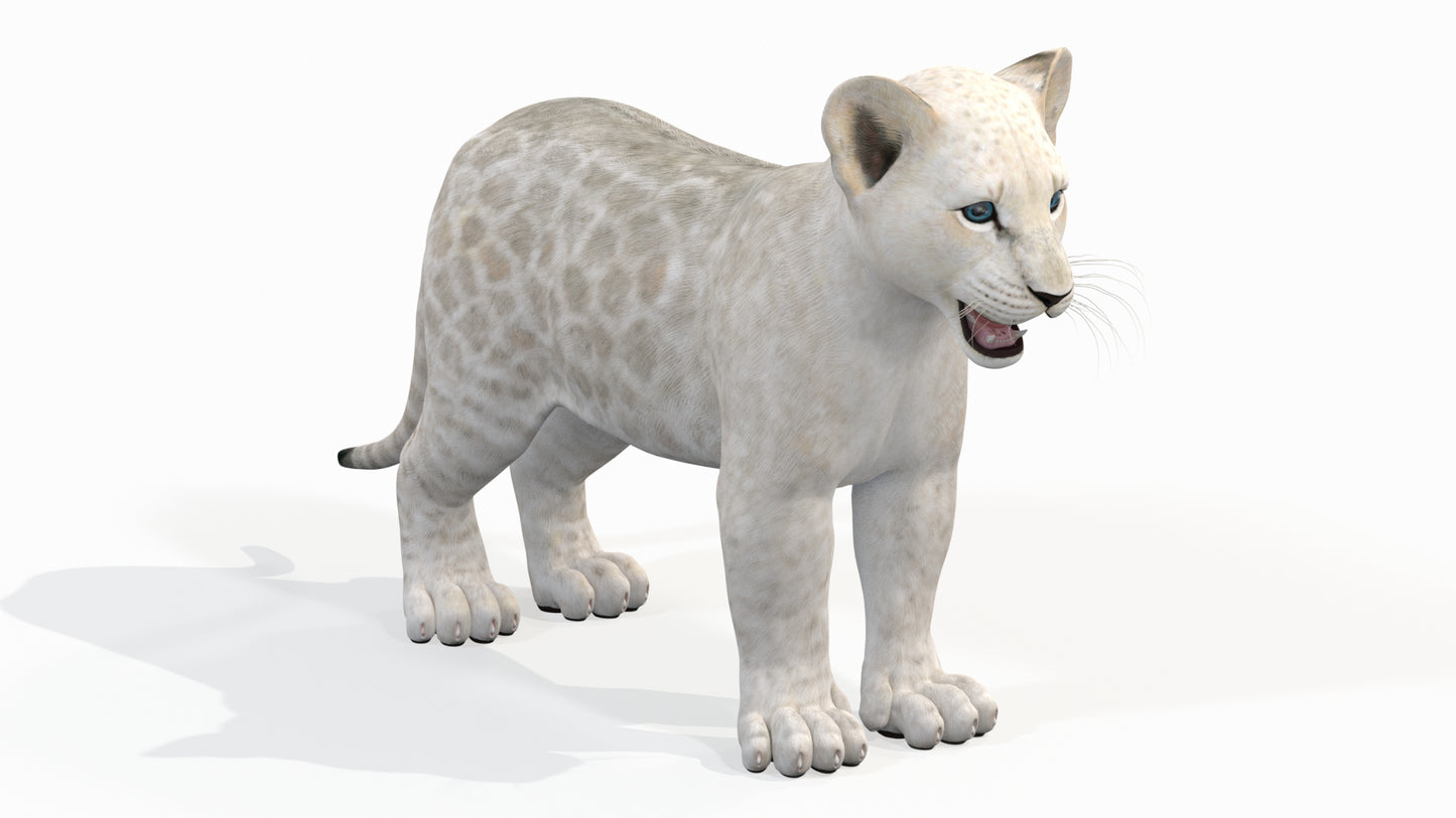 White Baby Lion 3D Model