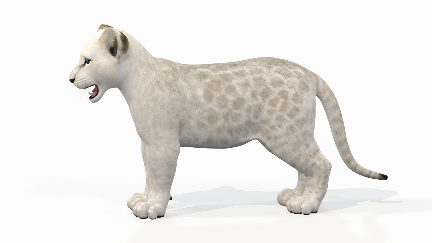 White Baby Lion 3D Model