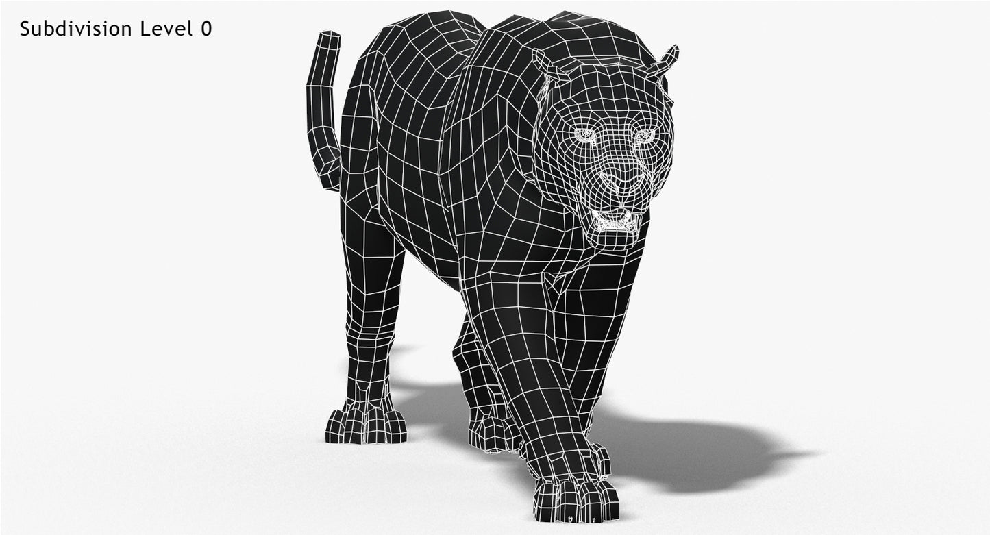 Big Cats 3D Model Animated