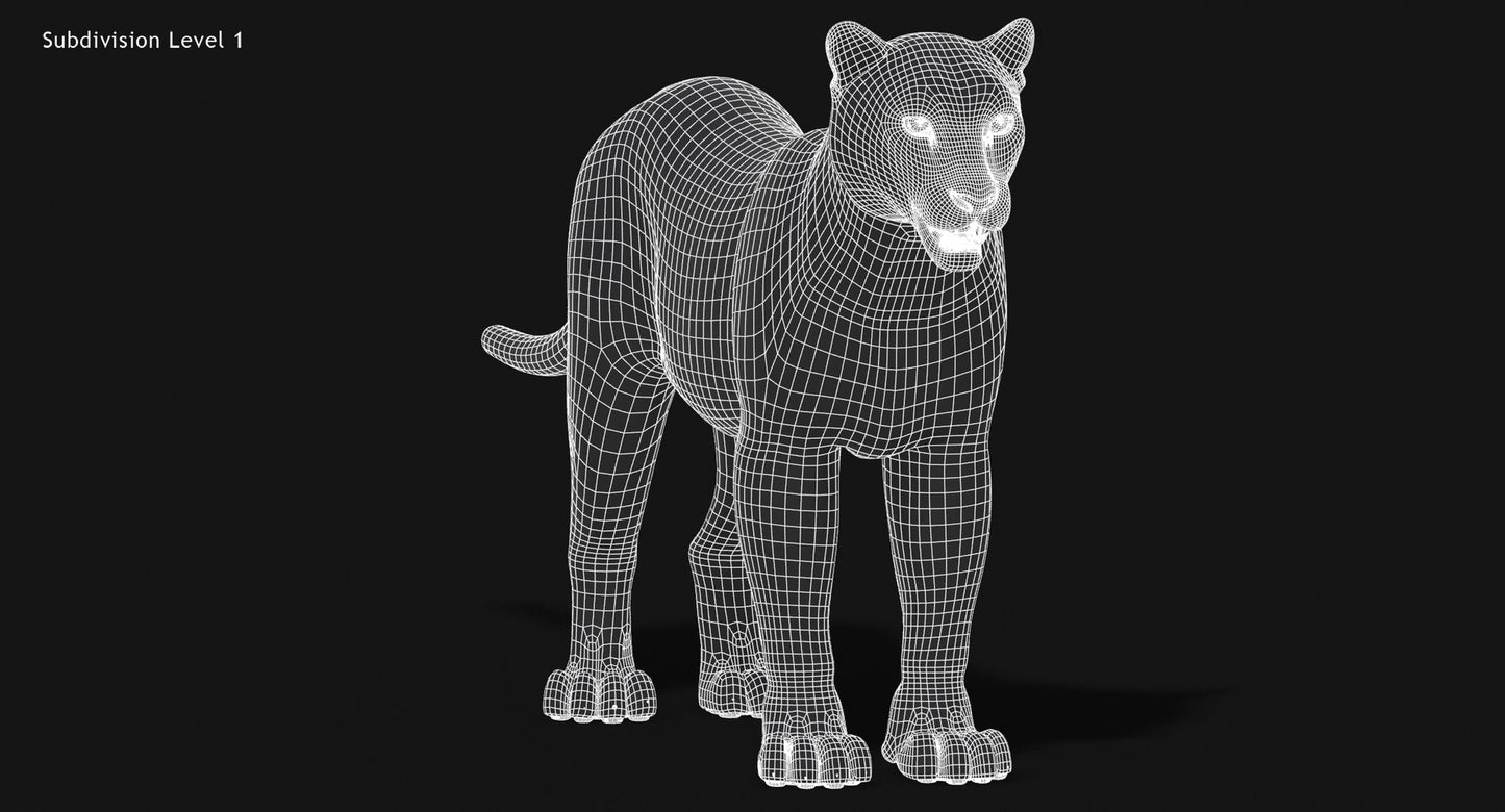 Snow Leopard 3D Model with Fur